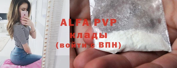 дживик Корсаков