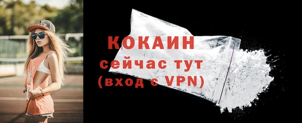 таблы Краснослободск