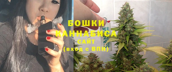 спайс Новодвинск