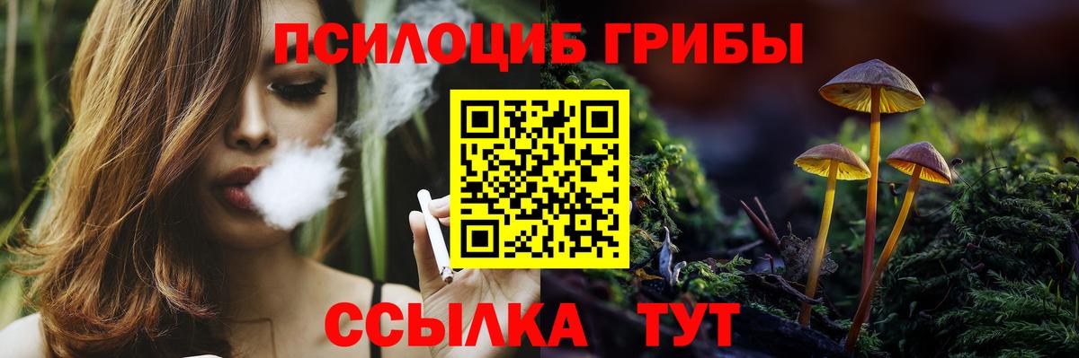 Псилоцибиновые грибы GOLDEN TEACHER  Псилоцибиновые грибы Psilocybe  Лангепас  Вход с VPN 